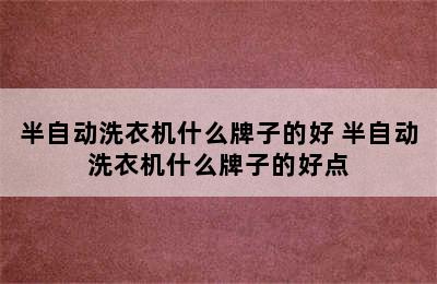 半自动洗衣机什么牌子的好 半自动洗衣机什么牌子的好点